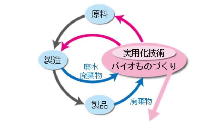 持続可能な社会形成に向けた新規バイオテクノロジーの開発 – 国立研究